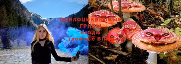 СК Верхний Тагил