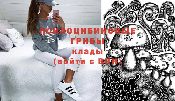 СК Верхний Тагил