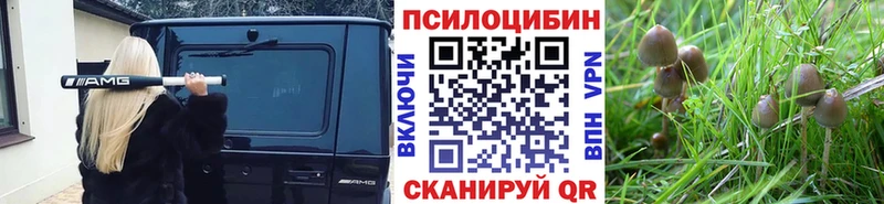 Псилоцибиновые грибы мухоморы  Купить  Нолинск 